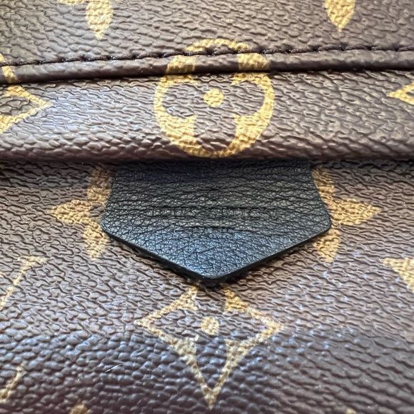 LOUIS VUITTON (LV) PALM SPRINGS MINI BACKPACK - Picture 5 of 14